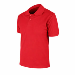 498508-S BEGONYA BORDO S POLO YAKA TİŞÖRT