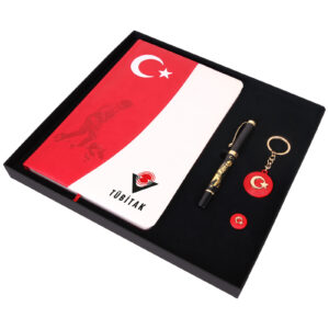 916601 ATA SETİ