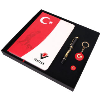 916601 ATA SETİ