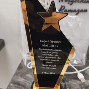 Siyah Pleksi Plaket (Yıldızlı Model)