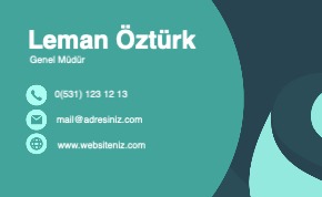 Normal Kartvizit
